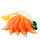 Sashimi